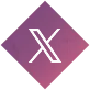 公式X